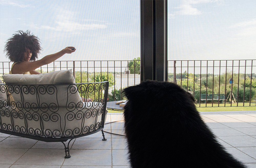 Hai un cane o un gatto che ama rilassarsi in terrazzo, ma vuoi decidere tu quando?